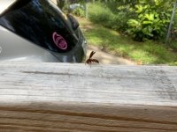 618E58ED-858D-4E1F-ADE1-A03C1D7026B1.jpeg