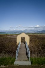 Alviso dock 2-7-10.jpg