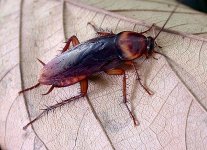 IMG_3679.jpeg