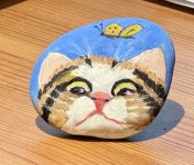 Kitten stone.jpg
