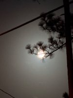 IMG_0073.jpeg