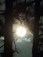 IMG_0093.jpeg