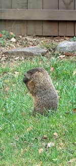 IMG_0259.jpeg IMG_0259.jpeg