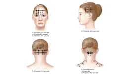 IMG_9104.webp IMG_9104.webp