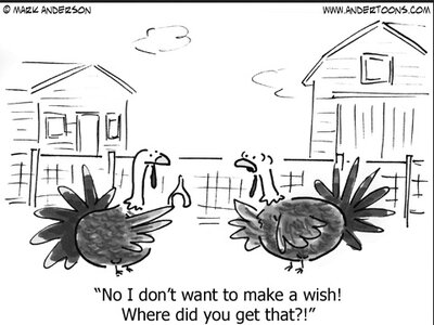 cartoon - appalled turkey.jpg