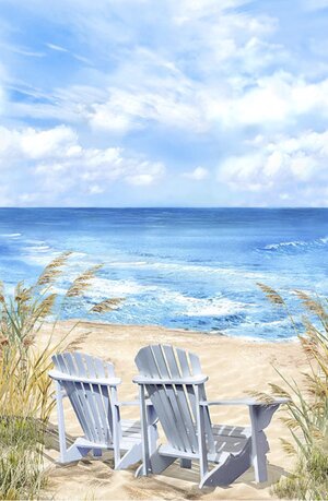 lol adironack chairs on the beach.jpg