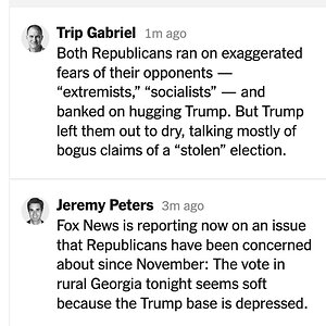 commentary by NYT Georgia watchers.jpg