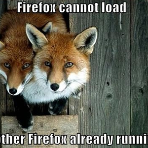 two firefoxes? cannot load, already running.png