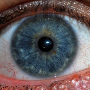 1200px-Human_Iris_JD052007.jpg