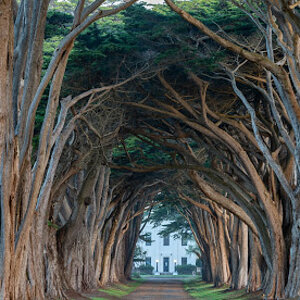 cypress_tunnel2.jpg