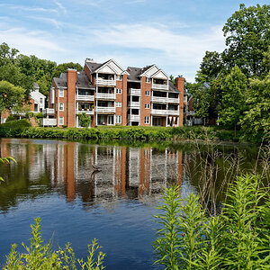 Condo Buildings and the Lake Complete With Alfred.jpeg