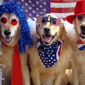 4th july dogs_2019.jpg