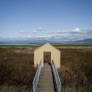 Alviso dock 2-7-10.jpg