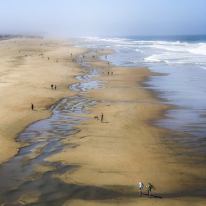 Ocean Beach 4x6.jpg