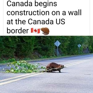 Canadian wall.jpg