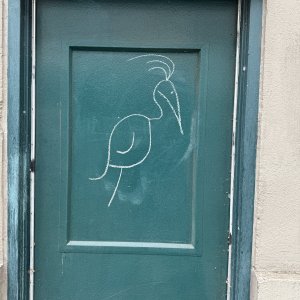 IMG_0813.jpeg