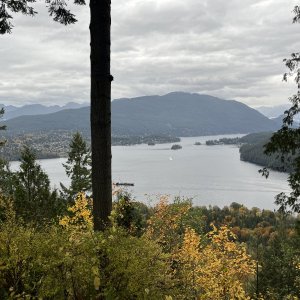 IMG_2071.jpeg