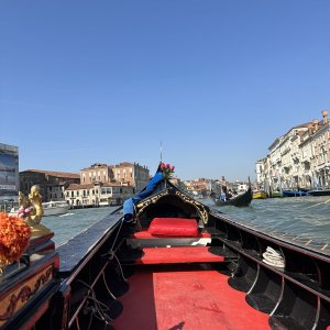 IMG_3764.jpeg