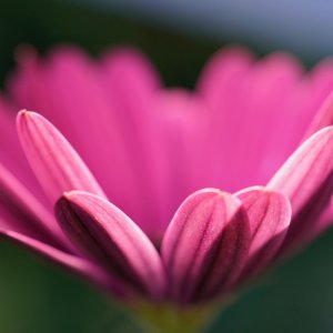 POTD May - 1_a 2.jpeg