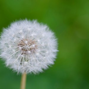 POTD May - a.jpeg