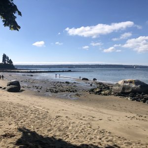 IMG_1949.jpeg