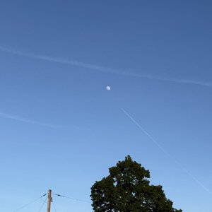 IMG_0881.jpeg