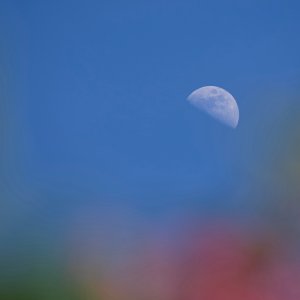 POTD May - 1_a 3.jpeg