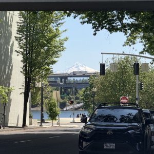 IMG_0878.jpeg
