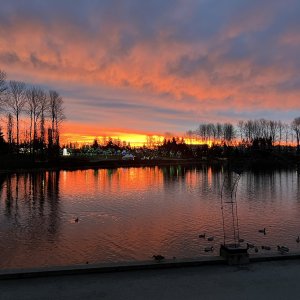 IMG_1769.jpeg