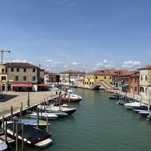 IMG_1318.jpeg