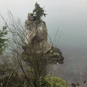 IMG_0040.jpeg