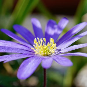 POTD May - 1_a 2.jpeg