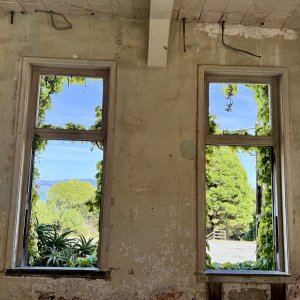 IMG_0907.jpeg