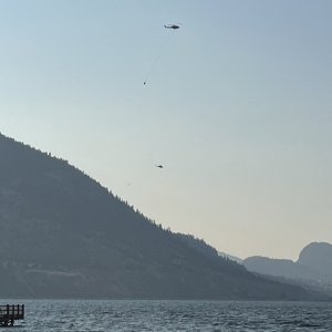 IMG_2349.jpeg