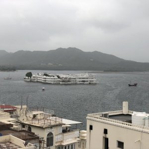 IMG_1242.jpeg