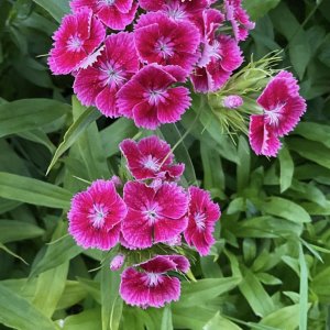 NzAbgkZsTsGQXU87qxEIaQ_thumb_5910.jpg