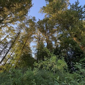 IMG_3180.jpeg