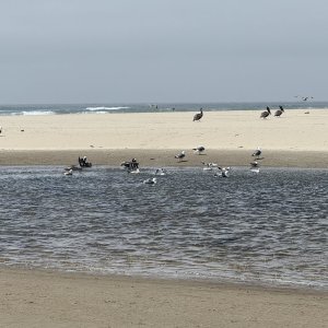 IMG_1043.jpeg