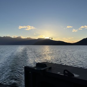 IMG_2021.jpeg