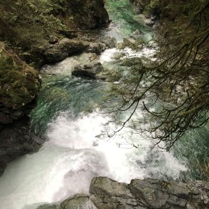 IMG_1948.jpeg