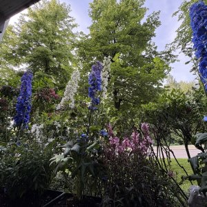 IMG_3212.jpeg