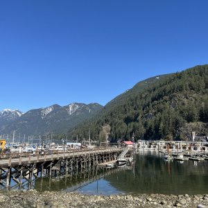 IMG_1993.jpeg