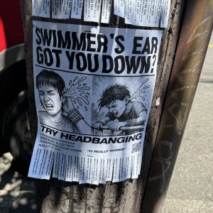 IMG_1144.jpeg