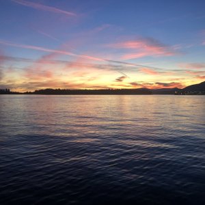 IMG_0494.jpeg