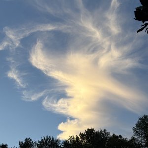 IMG_3350.jpeg