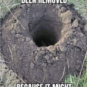 1753632558652.png