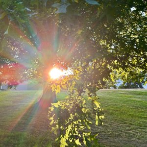 POTD July - 1_a 2.jpeg