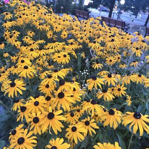 IMG_6830.JPG