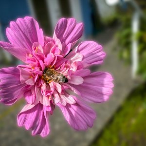 POTD August - 1_a.jpeg