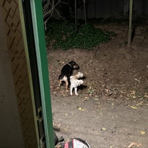 IMG_1271.jpeg